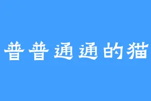 普普通通的猫