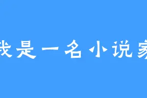 我是一名小说家