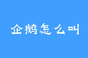 企鹅怎么叫