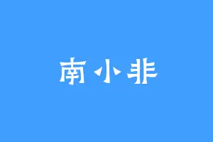 南小非