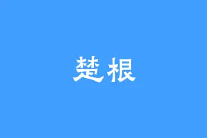 楚根