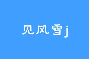 见风雪j