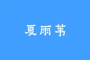 夏雨苇
