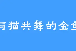 与猫共舞的金鱼