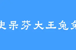 史呆芬大王兔兔