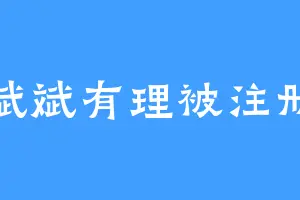 斌斌有理被注册