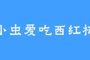 小虫爱吃西红柿