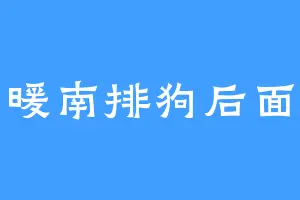 暖南排狗后面