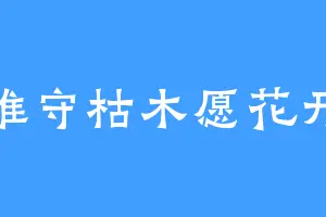 唯守枯木愿花开