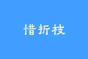 惜折枝