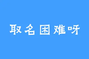 取名困难呀