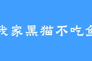 我家黑猫不吃鱼